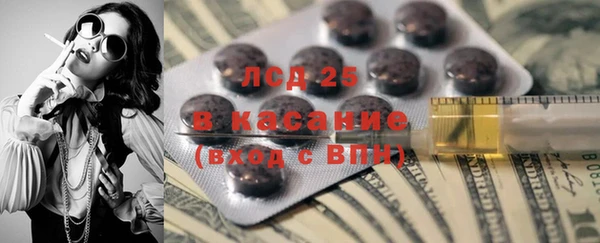 PSILOCYBIN Аркадак