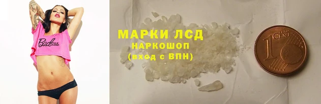 PSILOCYBIN Аркадак