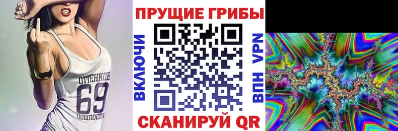 Псилоцибиновые грибы прущие грибы  Няндома 